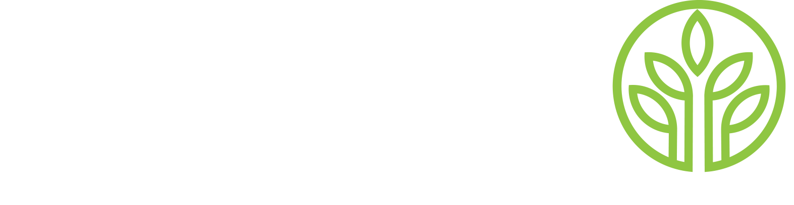 Enwealth Logo